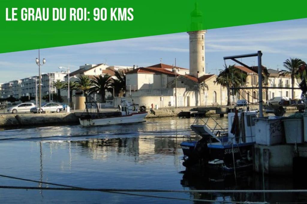 Le Saint-Laurent - Parking Gratuit - Terrasse - Wi-Fi Αβινιόν Εξωτερικό φωτογραφία